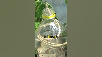 🤯How to water plants while on vacation?🌼🌷 #lifehacks