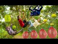Harvesting 1000+ Giant Grapefruits at the Happy Farm and Trading at the Market | Farm Life Tropics 💖