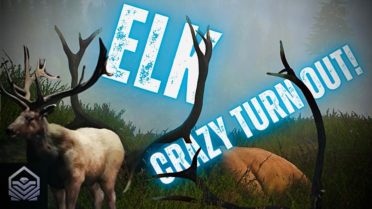 ELK hunting every species to get the biggest one!