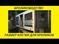 Кролиководство размеры клеток для кроликов