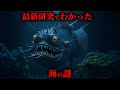 2024年の最新研究で判明した海の謎3選がヤバすぎる...。【 海洋生物 海底地形 】