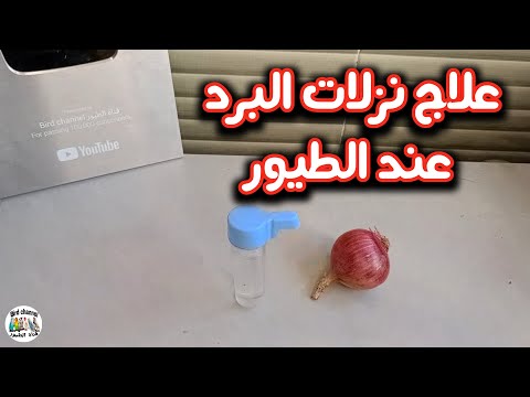 علاج نزلات البرد عند الكناري والحسون وجميع أنواع الطيور