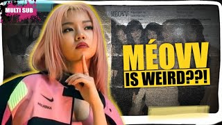 MÉOVV Girl Group Debut Rumors EXPOSED! YG's THE BLACK LABEL's Fierce New K-Pop Kittens 🔥