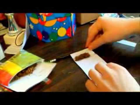 Comment Fabriquer Une Machine A Rouler Des Cigarettes Et Comment L Utiliser Youtube