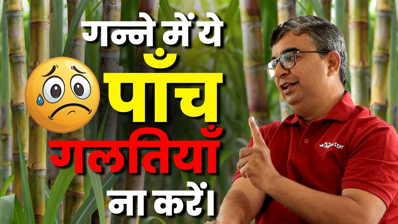 Sugarcane Farming | गन्ने में 800 क्विंटल तक उत्पादन कैसे पाएं? | 