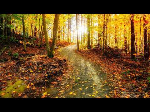 September Autumn Lake , Instrumental Acoustic Indie/Folk Music by Open Road Folk Music
