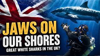 Could Great White Sharks be living in UK Waters?