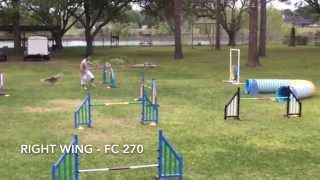 CKC Practice Sequence