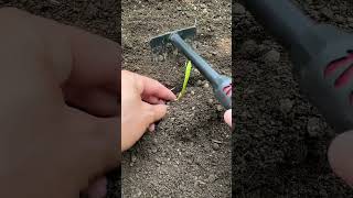 ma 000358mini rotary tillage and ridding all -in one tree short view