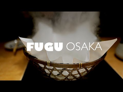 Travel | Fugu (Pufferfish) in Osaka, Japan - Traditional Japanese Cuisine