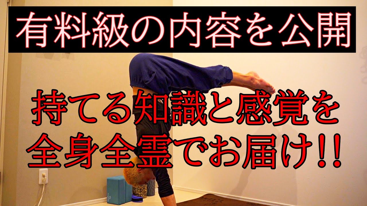伸肘倒立・プレス倒立の練習方法とコツ【徹底解説】リクエスト頂いたので全力でお答えします‼