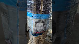 Johnny Wactor, an actor known for his role on General Hospital, was shot and killed in Los Angeles 😭