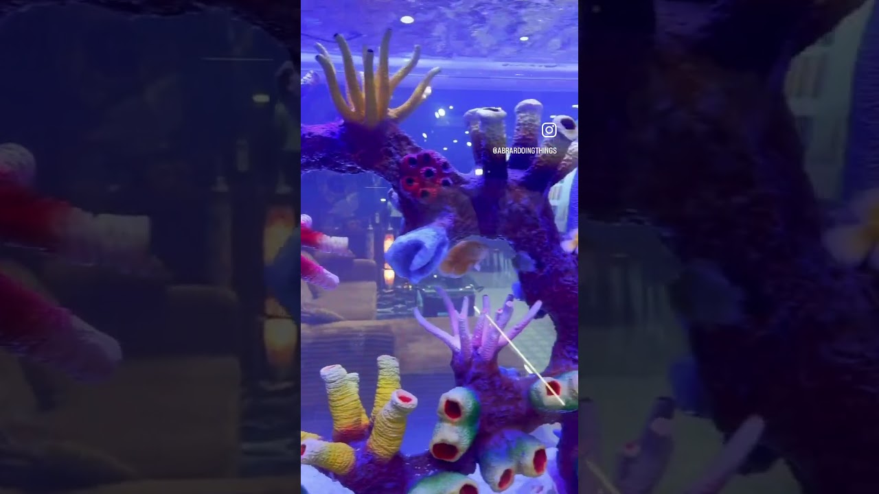 Make your home stand out