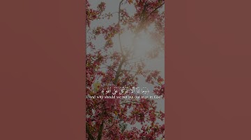 تلاوة هادئة#الرحمن #تلاوة_خاشعة #قرآن #قران_كريم #اكسبلور