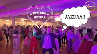 Królowa - Zespół Calimero