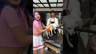 Ponían al perro de Yankee☝️?? #humor @fedevigevani @ChinguAmiga #apoyoporfa #noflop
