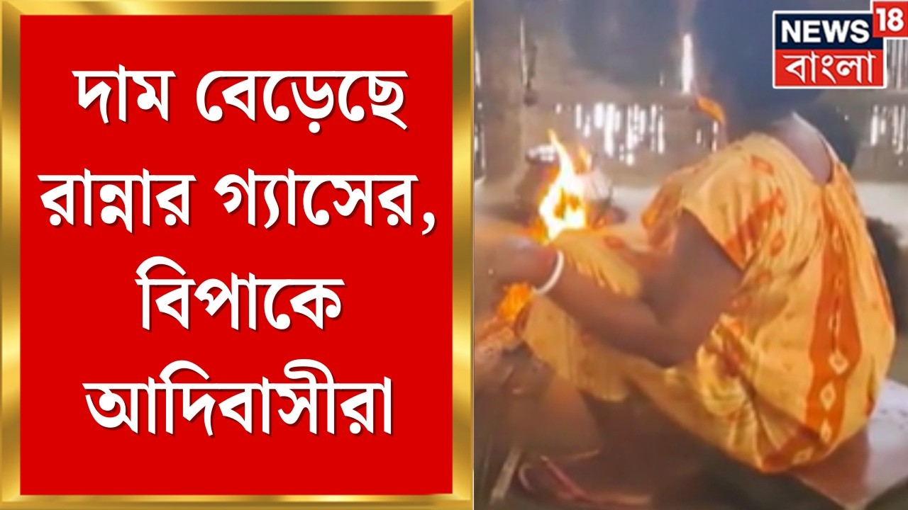 LPG Gas Price | দাম বেড়েছে রান্নার গ্যাসের, জ্বালানির খোঁজে ফের জঙ্গলে আদিবাসীরা | Bangla News