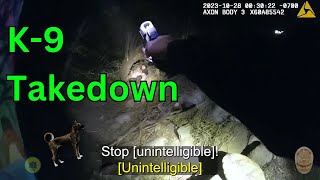 Dramatic K9 Takedown & Arrest after High-Stakes Police Pursuit | LAPD