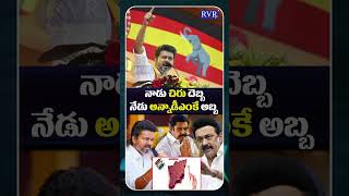 Tamil Nadu Elections Exit Polls 2026 | DMK vs TVK vs AIADMK | Political News | RVR TV