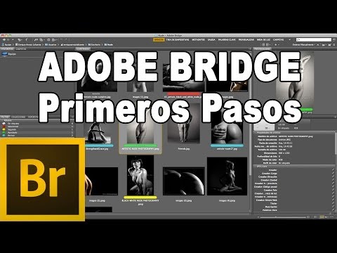 Video: ¿Cómo obtengo Adobe Bridge?