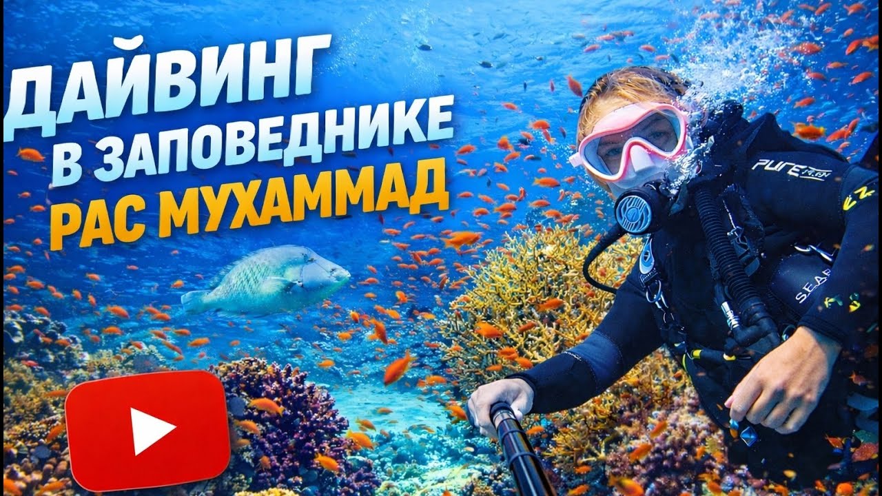 Дайвинг на рифе Иоланда