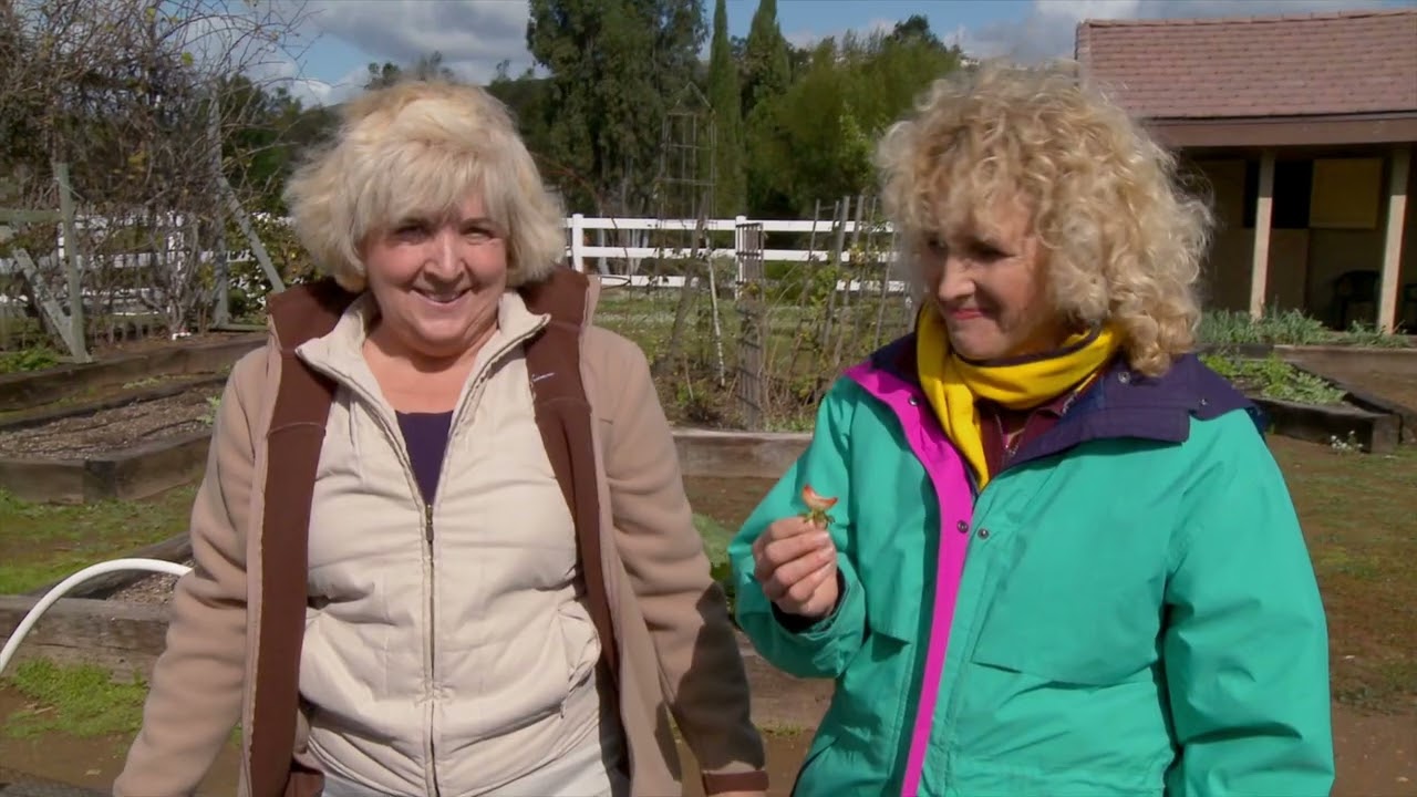 Take a Tour of Evelyn Alemani's Vegetable Garden Tour | A Growing Passion