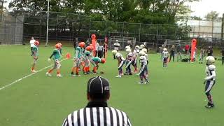 2019 Pee Wees LBX Empire vs Queens Falcons (11-12 yrs old)