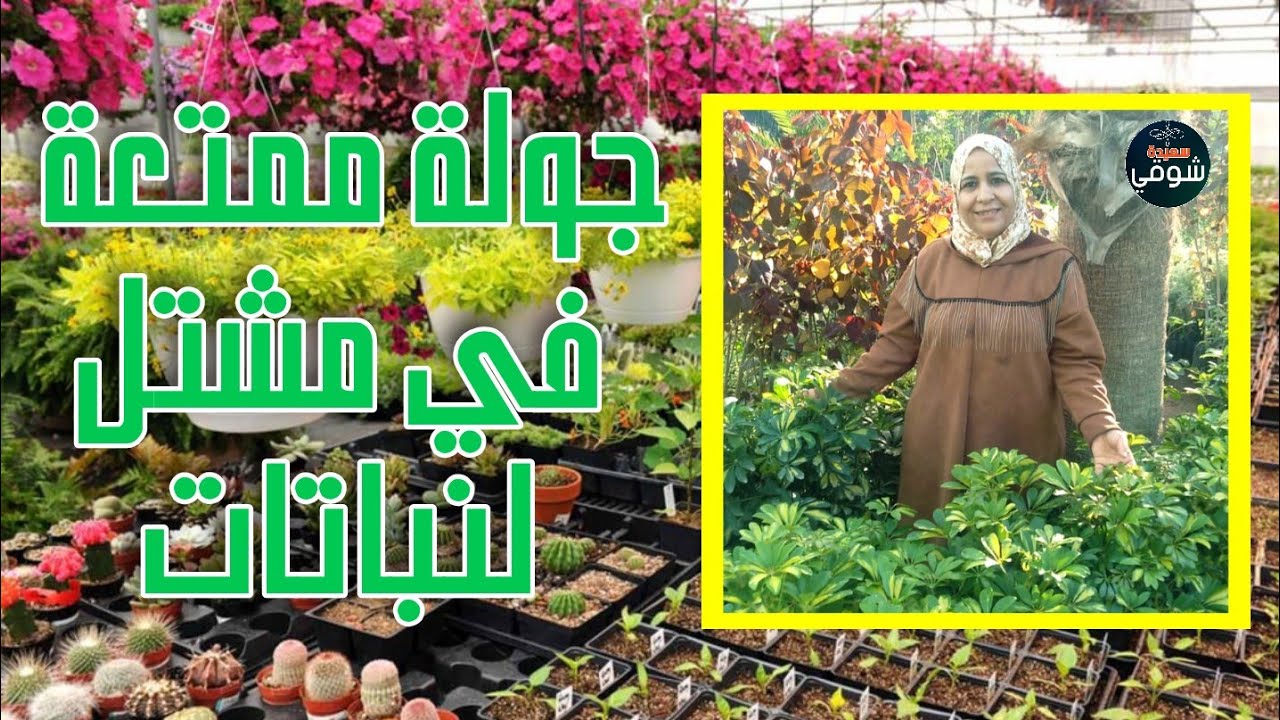 جولة جميلة في مشتل لنابتات في أكادير