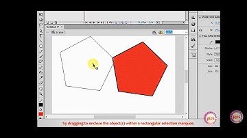 Class 6 Computer Chapter 7 Using tools in flash Part 2(2)