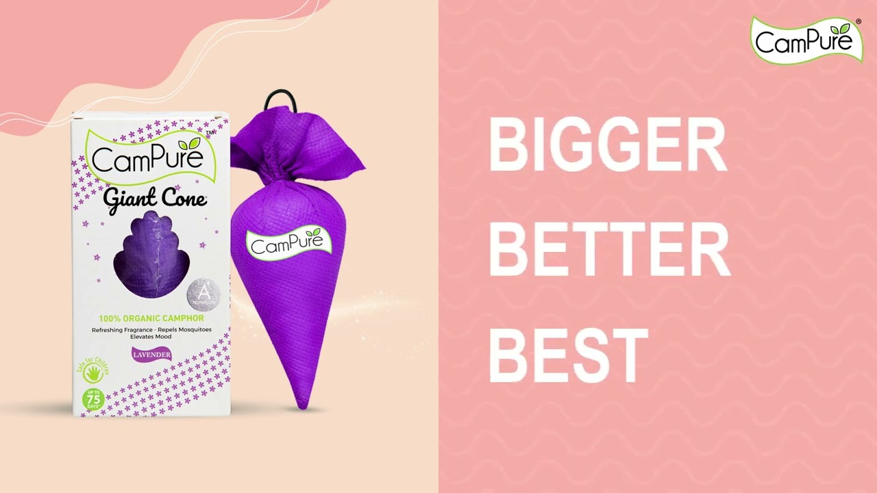 Giant Cone - Lavender