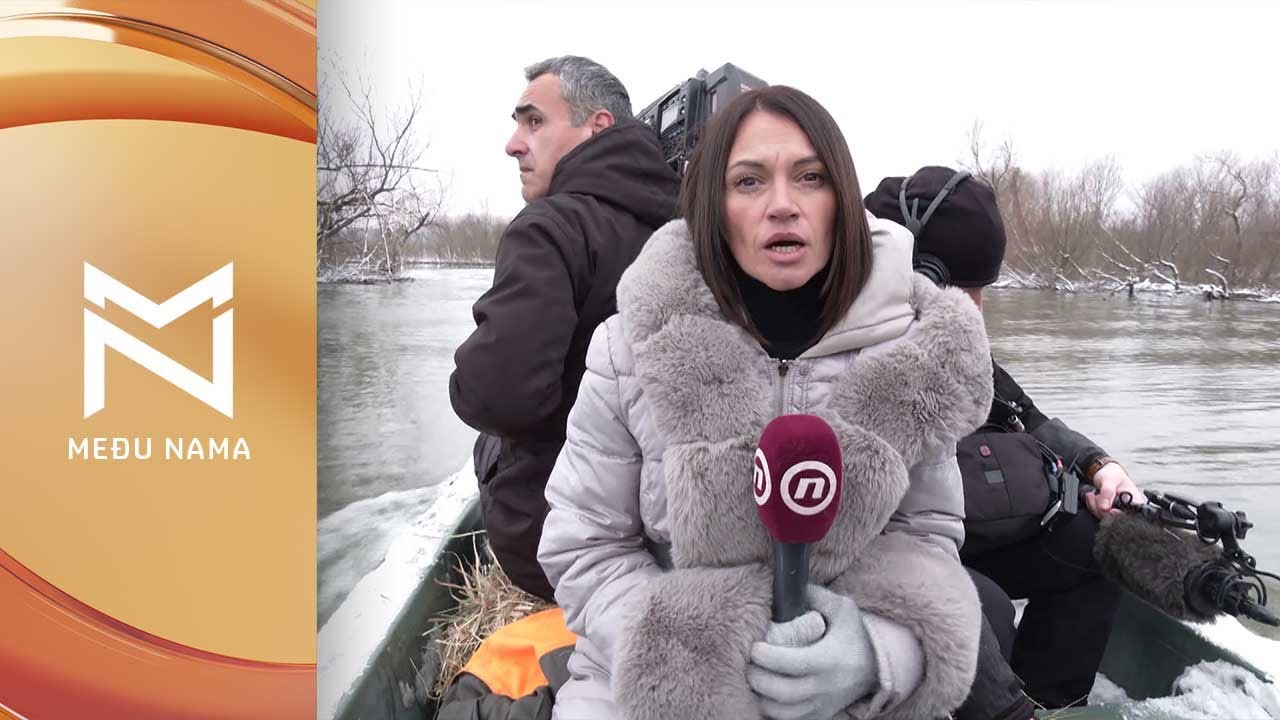 KRČEDINSKA ADA: Akcija i evakuacija životinja