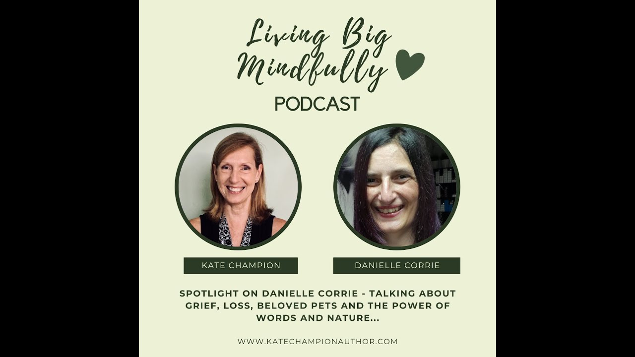 Danielle R Corey Spotlight with on danielle corrie talking about grief loss beloved pets ...