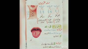 haruf e halqi tajweed#arabicsentences #youtubeshorts #viral#reels