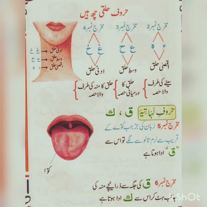 haruf e halqi tajweed#arabicsentences #youtubeshorts #viral#reels