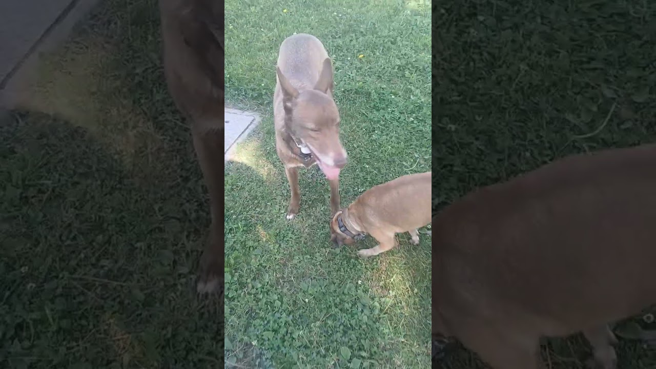 What a day... March 2nd (Mary Jane & Miss Dinky)