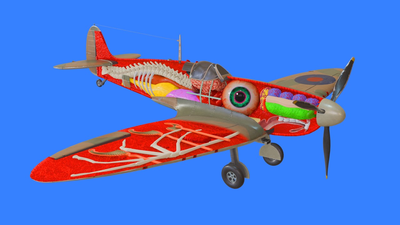 How a Propeller Plane works