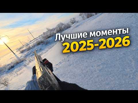 ОХОТА на зайца 2025 - 2026 лучшие моменты сезона, #hunting #охота #huntingseason