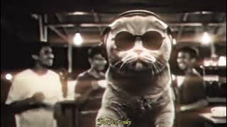 DJ 1000 ALASAN SLOWED SOUND LAMA LAMA MAKIN ENAK VIRAL TIKTOK TERBARU 2025