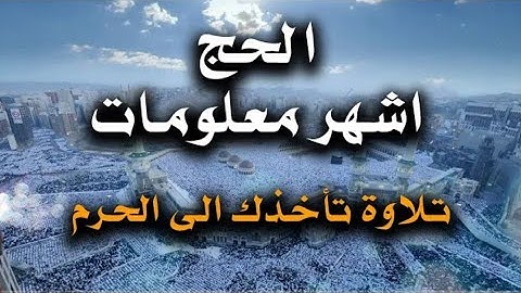 الحج أشهر معلومات- تلاوة تأخذك إلى الحرم -للقارئ(محمد صديق المنشاوى)