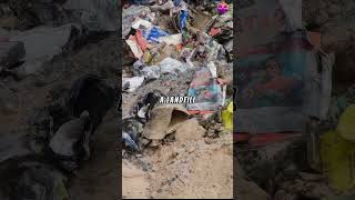 Atari’s “E.T.” Video Games Unearthed from New Mexico Landfill - #082 Wealth