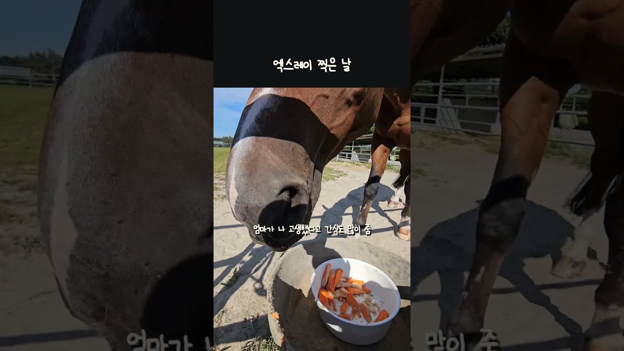 사람으로 치면 정형외과 갔다가 신발도 새로 바꾸고 뭐 그런 날❓️