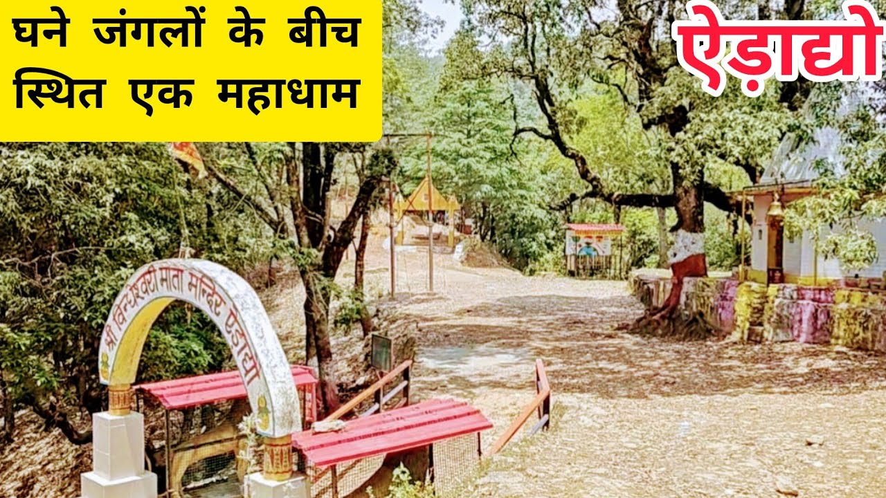 घने जंगलों के बीच मौजूद आस्था का एक महाधाम- ऐड़ाद्यो#utrakhandiculture #travel #uttarakhandsanskriti