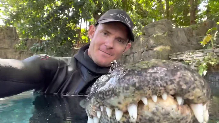 Swimming with Casper the Alligator! Learn about nu...