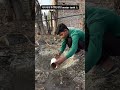 काम अच्छा लगे तो please support 🙏 . #helping #viralreels #trending #video