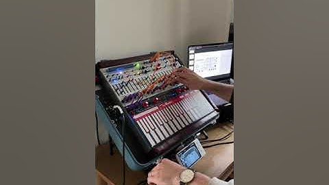 Buchla Music Easel (2023) // Nap-time Studies 002 // René G. Boscio