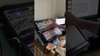 Buchla Music Easel (2023) // Nap-time Studies 002 // René G. Boscio