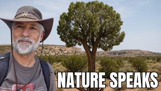 Juniper Chats: Conversations with an Ancient Tree Spirit (Part 1/4)