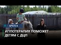 В Братске дети с ДЦП и задержкой психического развития бесплатно занимаются иппотерапией