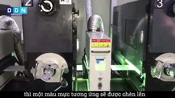 Lựa chọn in tem nhãn với máy in Flexo 5 màu UV tại DDN Printing