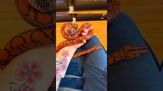 Bensons Boas Sat 3825 1Pm Est On